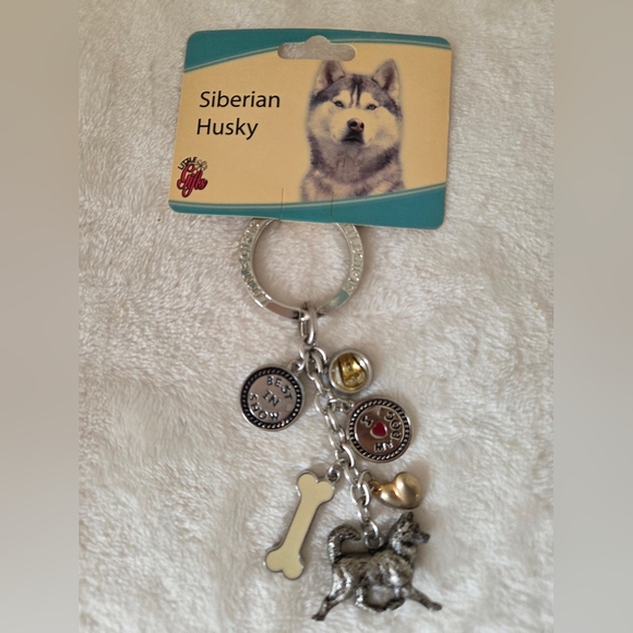 🐕‍🦺 Pet Products & Accessories - Picture 9 of 13